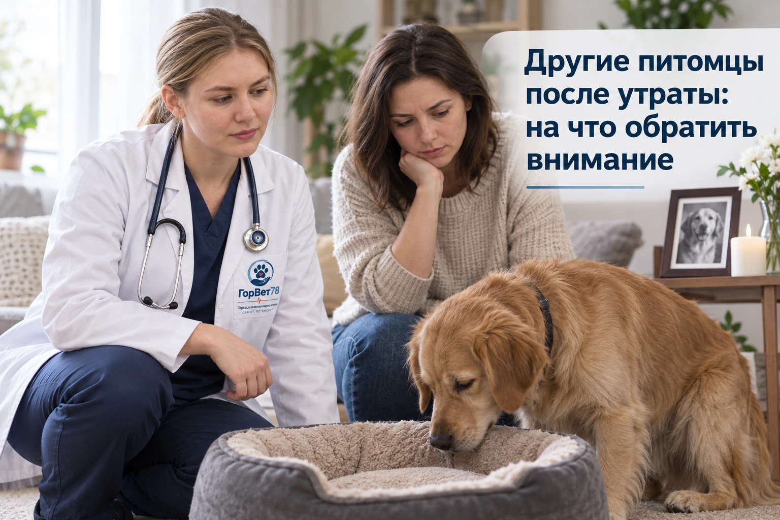 Другие питомцы после утраты: на что обратить внимание
