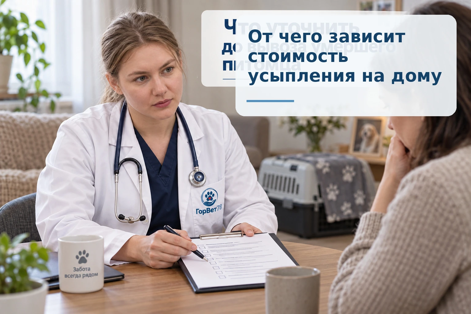 От чего зависит стоимость усыпления на дому