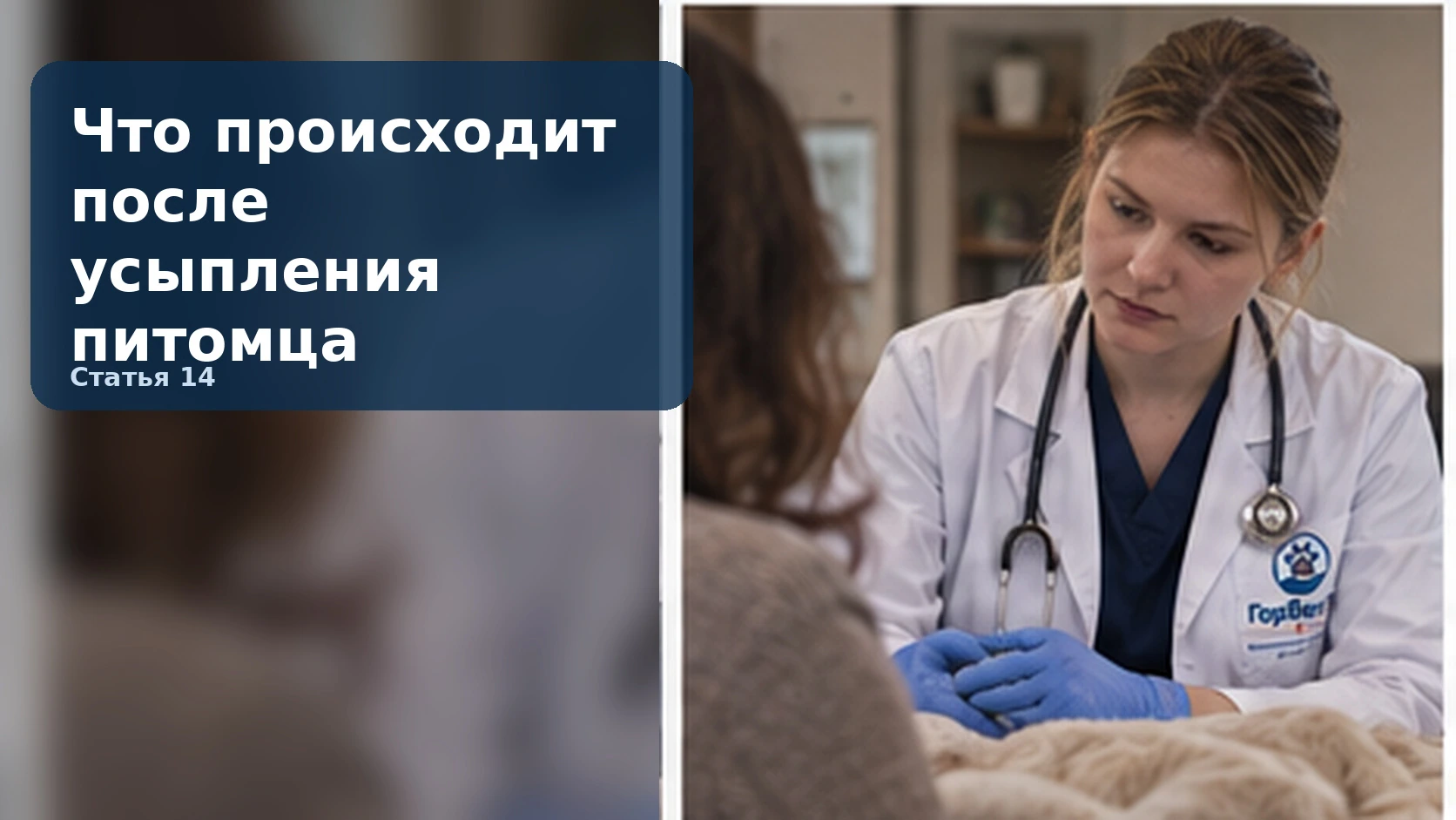 Что происходит после усыпления питомца