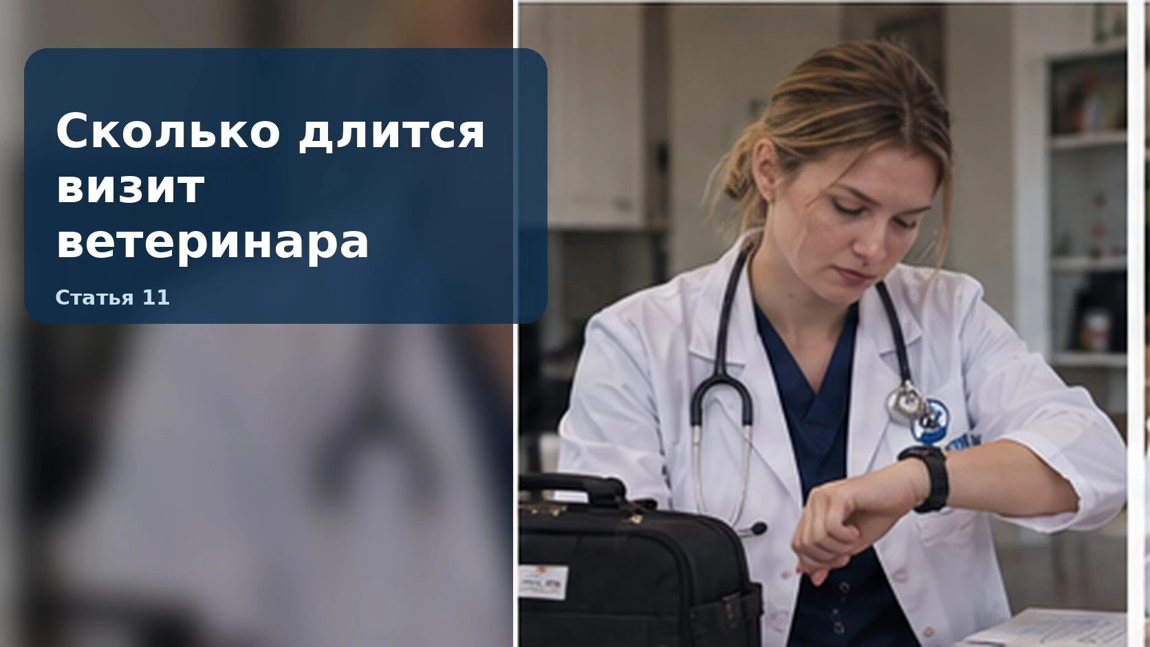 Сколько длится визит ветеринара
