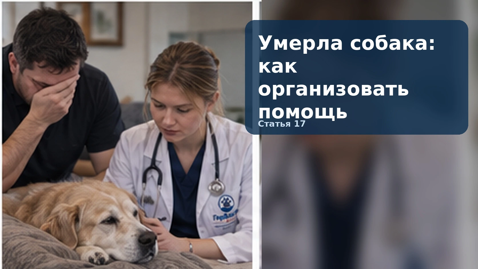 Умерла собака: как организовать помощь