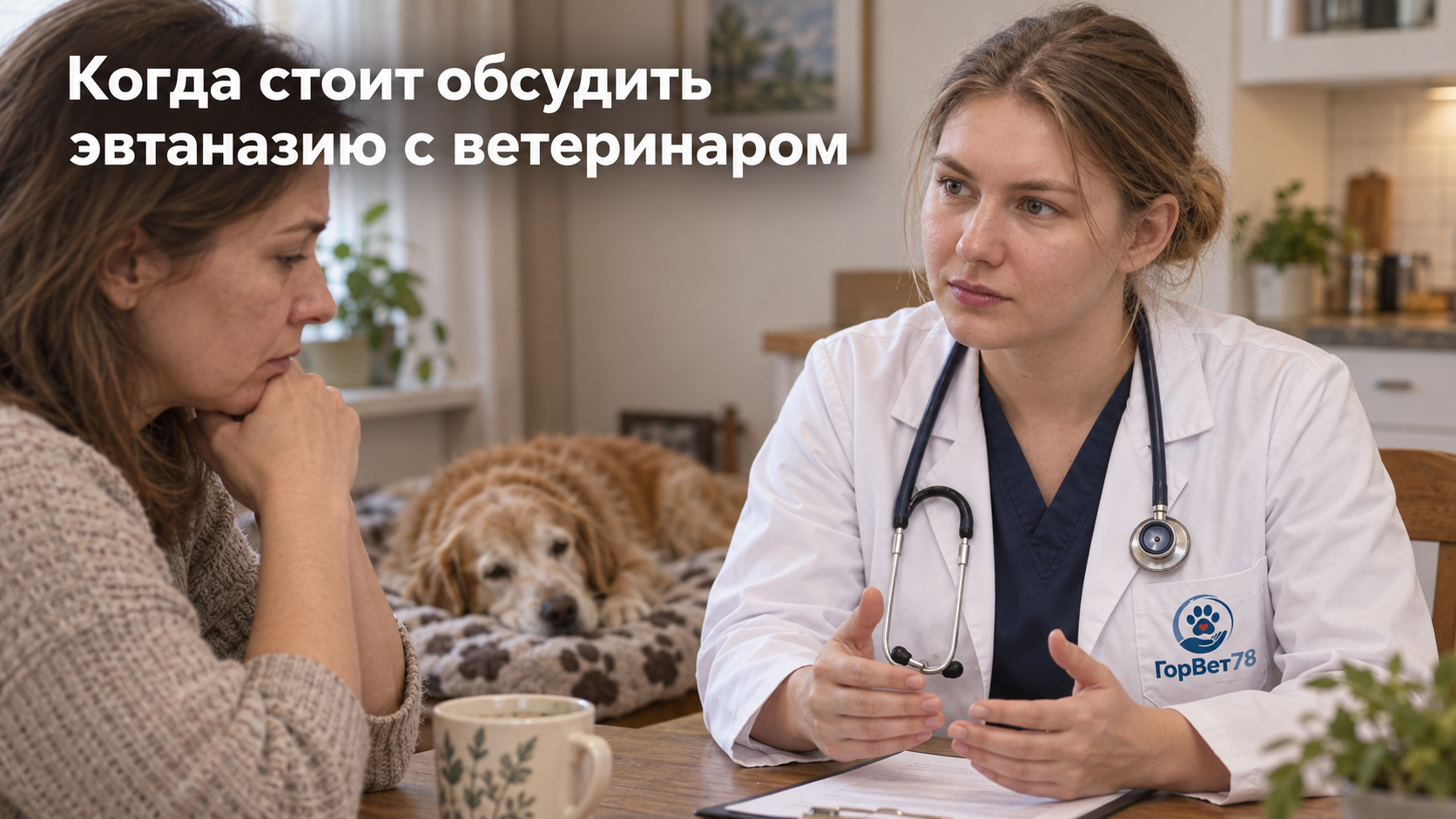 Ветеринар беседует с хозяйкой пожилой собаки в домашней обстановке