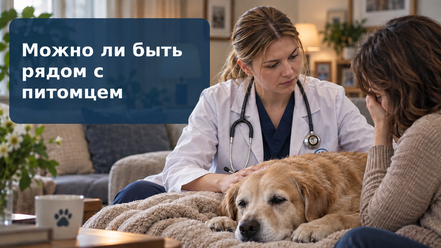 Ветеринар и владелица рядом с пожилой собакой в домашней обстановке